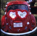 Idėjos kaip papuošti automobilius vestuvėms pav.#1206