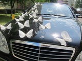Idėjos kaip papuošti automobilius vestuvėms pav.#1214