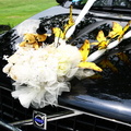 Idėjos kaip papuošti automobilius vestuvėms pav.#1215