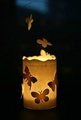Žvakidė - drugeliai pav.#2408
