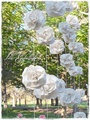 Vestuvių dekoracija - 3D gėlės pav.#5154