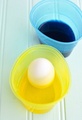 Velykiniai kiaušiniai - pakalikai pav.#5224