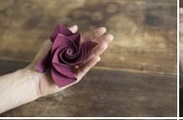 Origami rožės pav.#5432