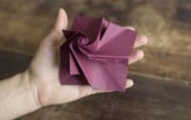 Origami rožės pav.#5435