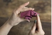Origami rožės pav.#5438